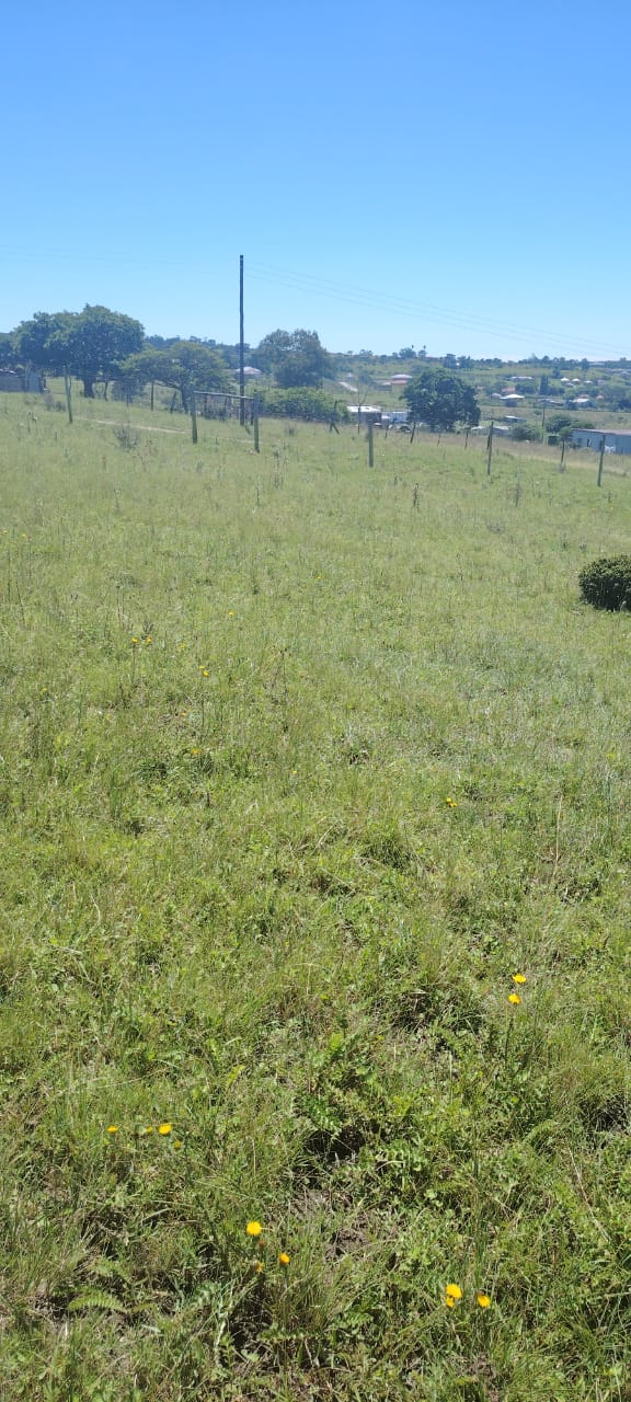 Bedroom Property for Sale in Macleantown Eastern Cape